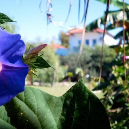 Adrenalin Village פאטהיה