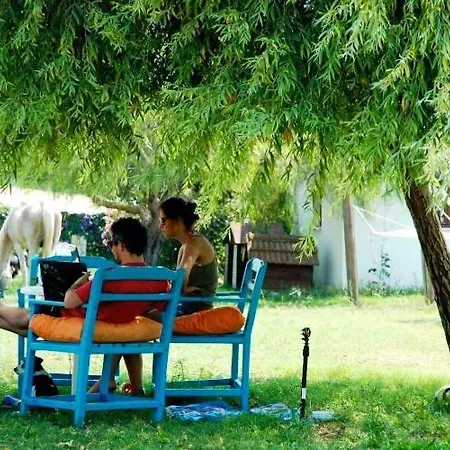 Adrenalin Village בית הארחה פאטהיה
