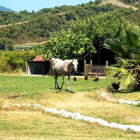 Adrenalin Village 3*