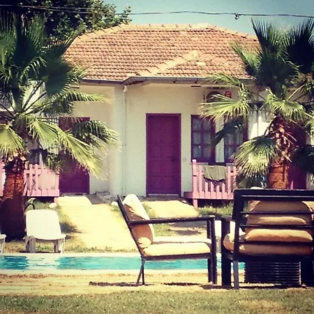 בית הארחה Adrenalin Village