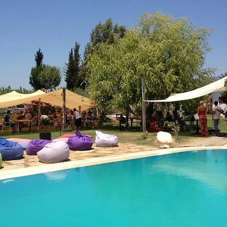 Adrenalin Village בית הארחה