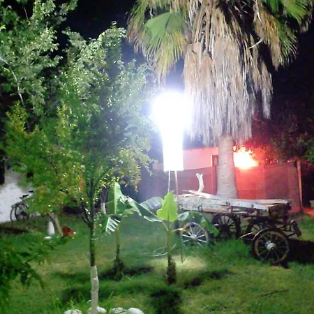Adrenalin Village בית הארחה